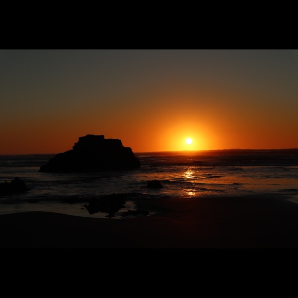 Meet your Posher, Anya - Picture 1 of 1